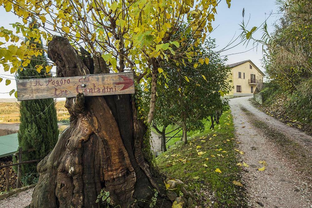 Il Poggio Dei Tre Contadini Villa Ponte Felcino ภายนอก รูปภาพ